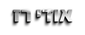 udiraz-title-metal אודי רז | ייעוץ ותכנון הנדסה אזרחית | ייעוץ הנדסי | תכנון הנדסי